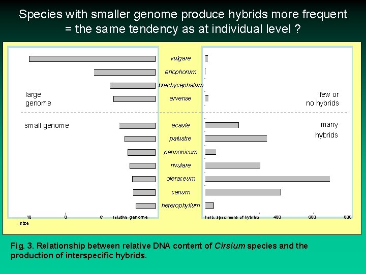 Species with smaller genome produce hybrids more frequent = the same tendency as at