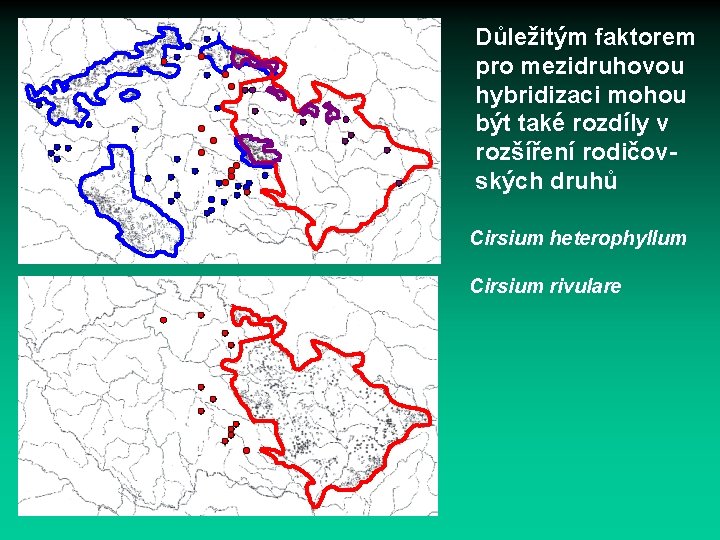 Důležitým faktorem pro mezidruhovou hybridizaci mohou být také rozdíly v rozšíření rodičovských druhů Cirsium