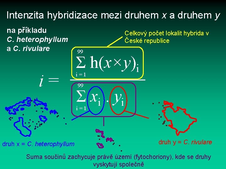 Intenzita hybridizace mezi druhem x a druhem y na příkladu C. heterophyllum a C.