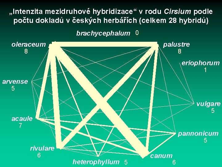 „Intenzita mezidruhové hybridizace“ v rodu Cirsium podle počtu dokladů v českých herbářích (celkem 28