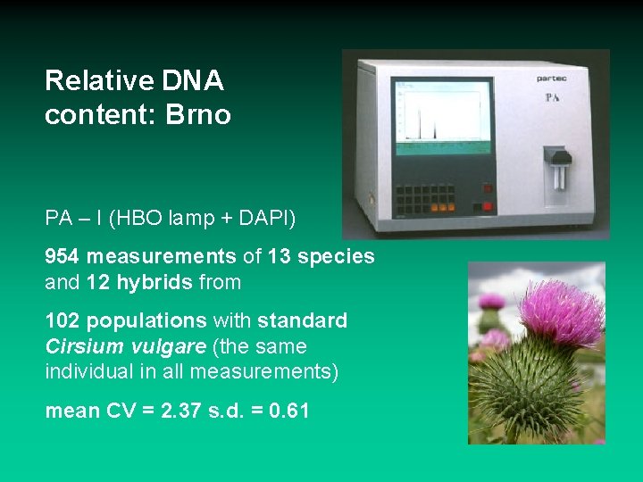 Relative DNA content: Brno PA – I (HBO lamp + DAPI) 954 measurements of