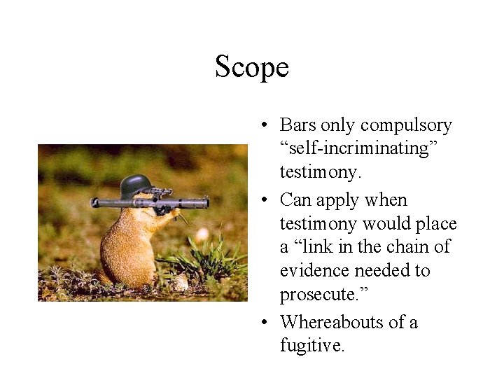 Scope • Bars only compulsory “self-incriminating” testimony. • Can apply when testimony would place