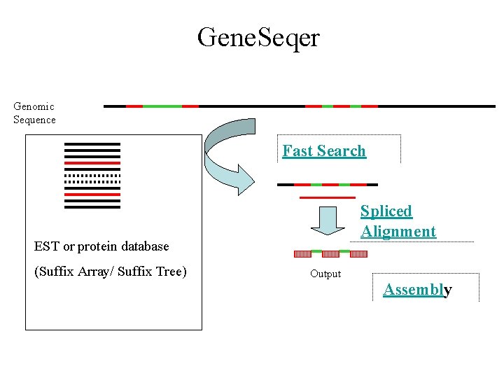 Gene. Seqer Genomic Sequence Fast Search Spliced Alignment EST or protein database (Suffix Array/