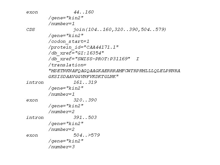 exon 44. . 160 /gene="kin 2" /number=1 CDS join(104. . 160, 320. . 390,