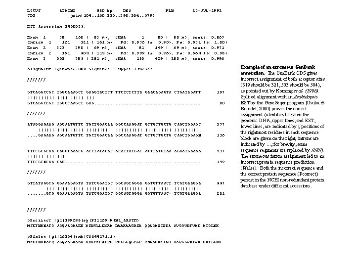 LOCUS ATKIN 2 880 bp DNA PLN 23 -JUL-1992 CDS join(104. . 160, 320.