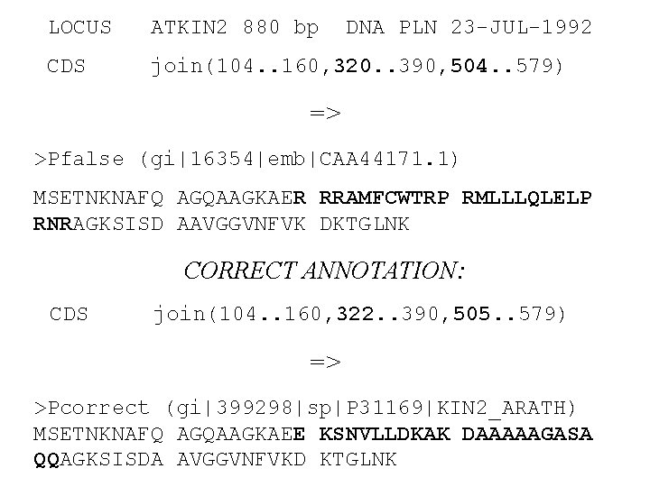 LOCUS ATKIN 2 880 bp DNA PLN 23 -JUL-1992 CDS join(104. . 160, 320.