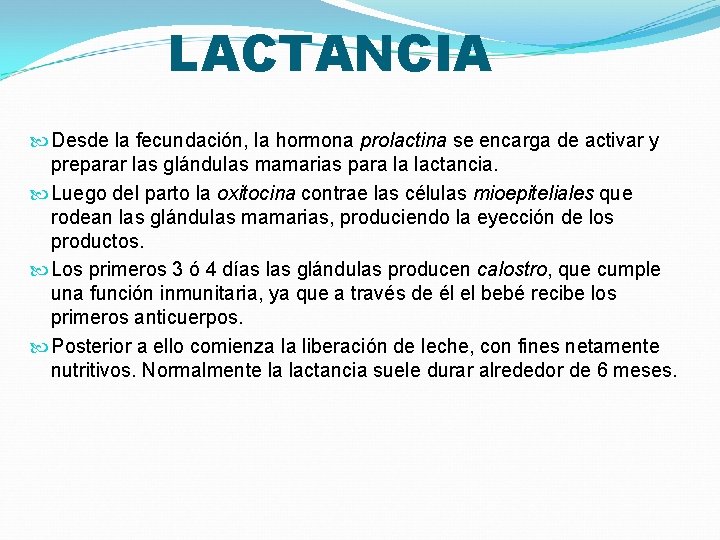 LACTANCIA Desde la fecundación, la hormona prolactina se encarga de activar y preparar las