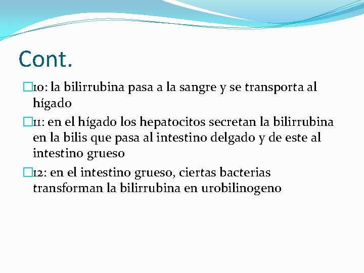 Cont. � 10: la bilirrubina pasa a la sangre y se transporta al hígado