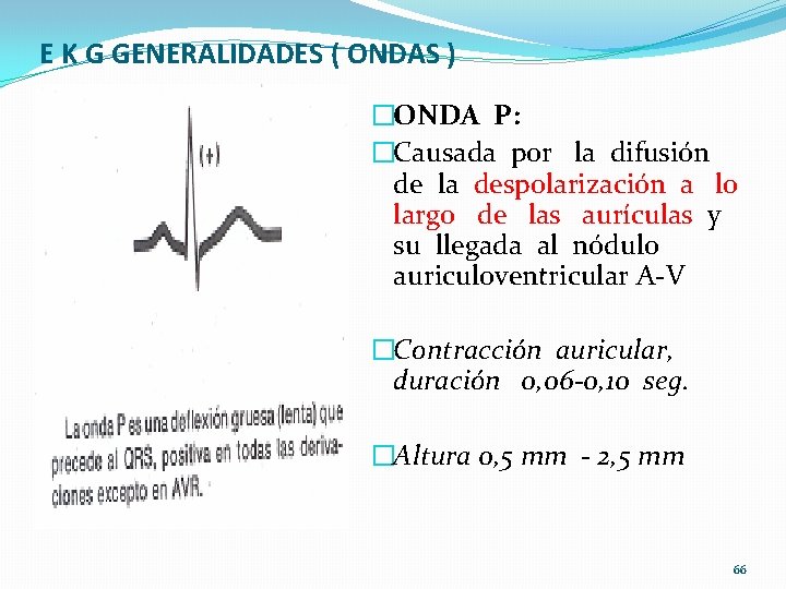 E K G GENERALIDADES ( ONDAS ) �ONDA P: �Causada por la difusión de