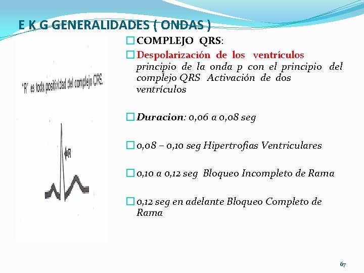 E K G GENERALIDADES ( ONDAS ) � COMPLEJO QRS: � Despolarización de los