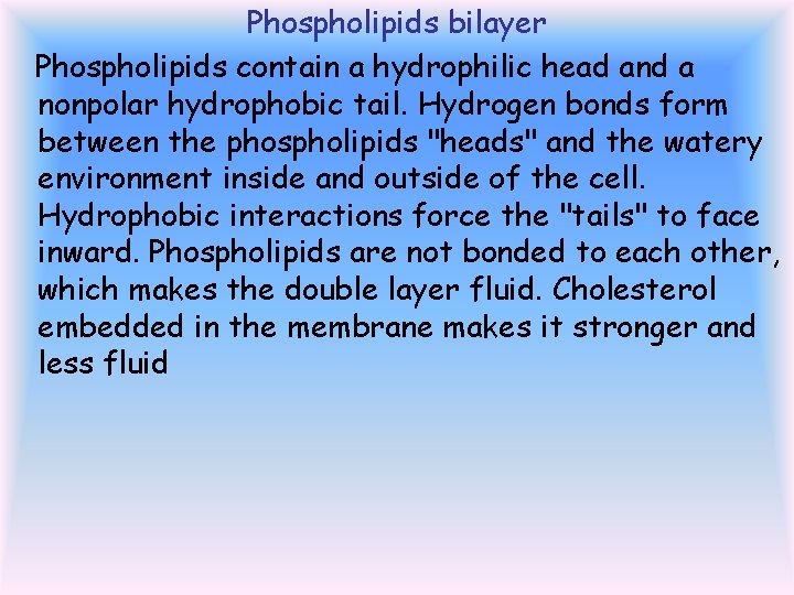 Phospholipids bilayer Phospholipids contain a hydrophilic head and a nonpolar hydrophobic tail. Hydrogen bonds