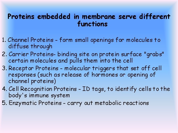 Proteins embedded in membrane serve different functions 1. Channel Proteins - form small openings