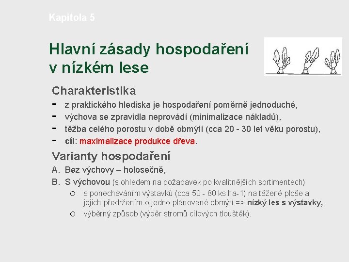 Kapitola 5 Hlavní zásady hospodaření v nízkém lese Charakteristika - z praktického hlediska je