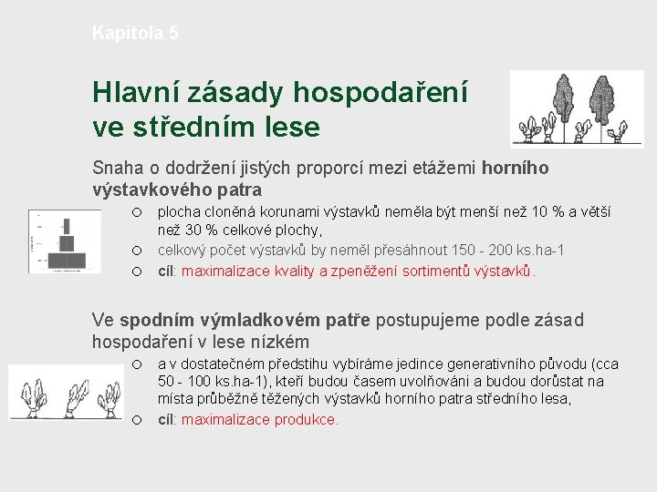 Kapitola 5 Hlavní zásady hospodaření ve středním lese Snaha o dodržení jistých proporcí mezi