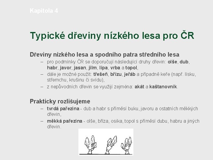 Kapitola 4 Typické dřeviny nízkého lesa pro ČR Dřeviny nízkého lesa a spodního patra