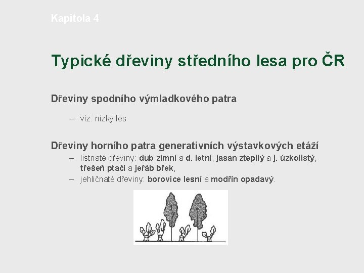 Kapitola 4 Typické dřeviny středního lesa pro ČR Dřeviny spodního výmladkového patra – viz.