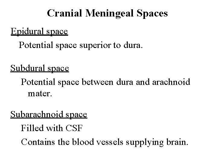 Cranial Meningeal Spaces Epidural space Potential space superior to dura. Subdural space Potential space