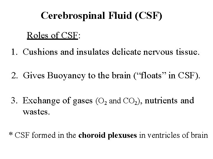 Cerebrospinal Fluid (CSF) Roles of CSF: 1. Cushions and insulates delicate nervous tissue. 2. Cerebrospinal Fluid (CSF) Roles of CSF: 1. Cushions and insulates delicate nervous tissue. 2.