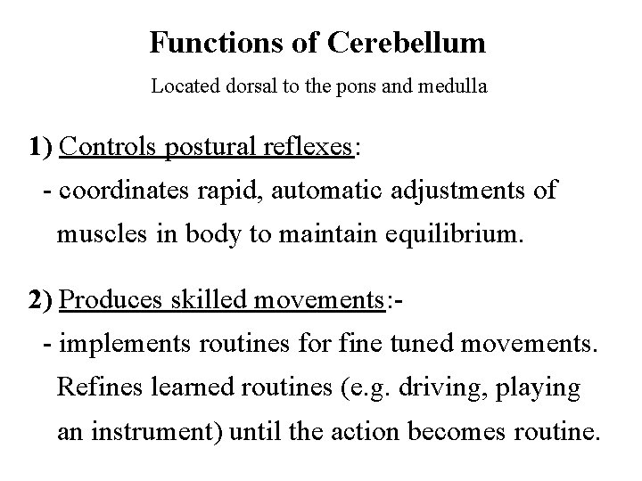 Functions of Cerebellum Located dorsal to the pons and medulla 1) Controls postural reflexes: