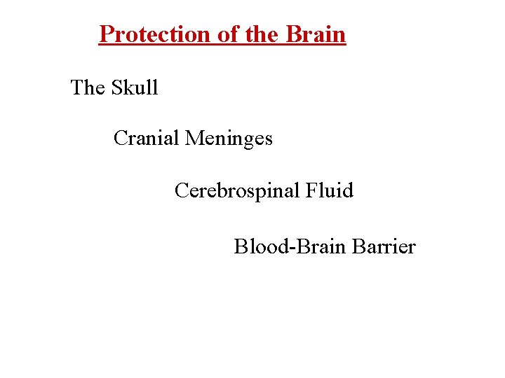 Protection of the Brain The Skull Cranial Meninges Cerebrospinal Fluid Blood-Brain Barrier 