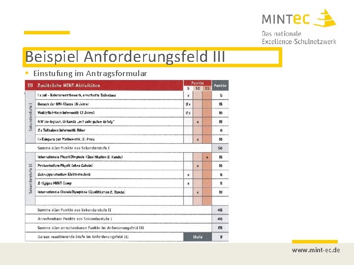 Beispiel Anforderungsfeld III Einstufung im Antragsformular www. mint-ec. de 