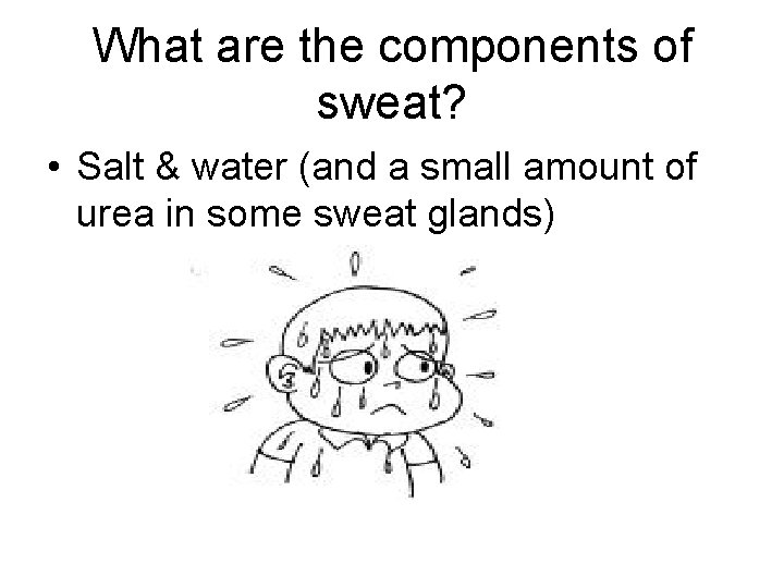 What are the components of sweat? • Salt & water (and a small amount