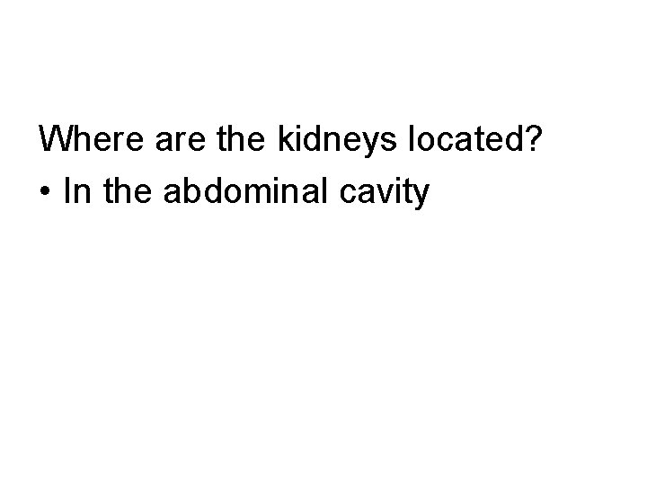 Where are the kidneys located? • In the abdominal cavity 