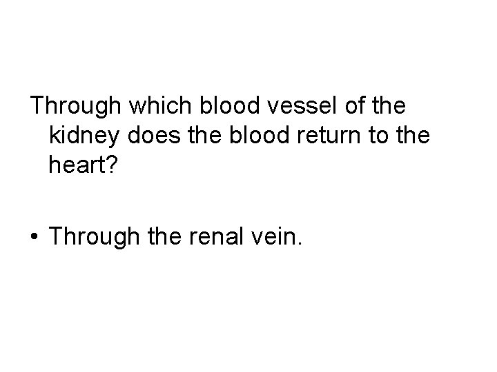 Through which blood vessel of the kidney does the blood return to the heart?