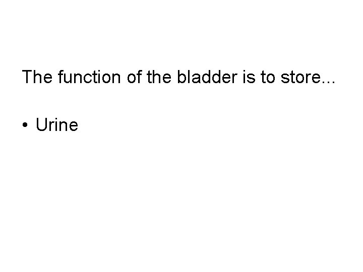 The function of the bladder is to store. . . • Urine 