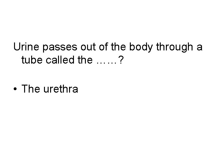 Urine passes out of the body through a tube called the ……? • The