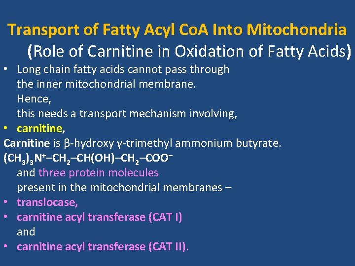 Transport of Fatty Acyl Co. A Into Mitochondria (Role of Carnitine in Oxidation of