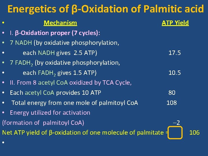 Energetics of β-Oxidation of Palmitic acid • Mechanism ATP Yield • I. β-Oxidation proper