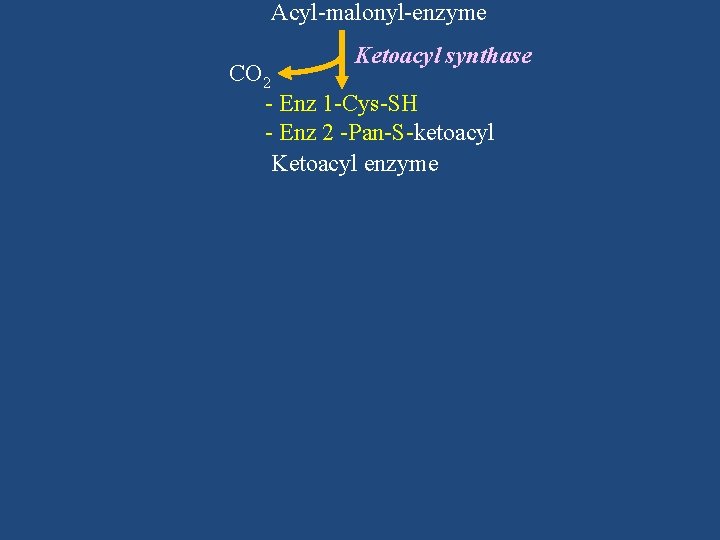 Acyl-malonyl-enzyme Ketoacyl synthase CO 2 - Enz 1 -Cys-SH - Enz 2 -Pan-S-ketoacyl Ketoacyl