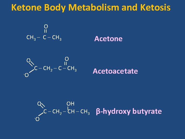 Ketone Body Metabolism and Ketosis O CH 3 – CH 3 O C –