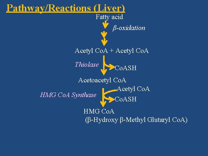 Pathway/Reactions (Liver) Fatty acid β-oxidation Acetyl Co. A + Acetyl Co. A Thiolase Co.