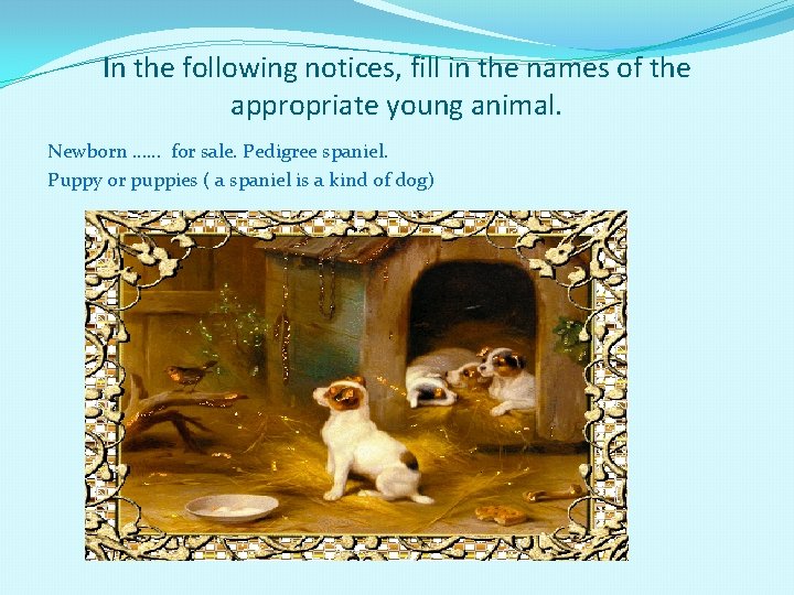 In the following notices, fill in the names of the appropriate young animal. Newborn