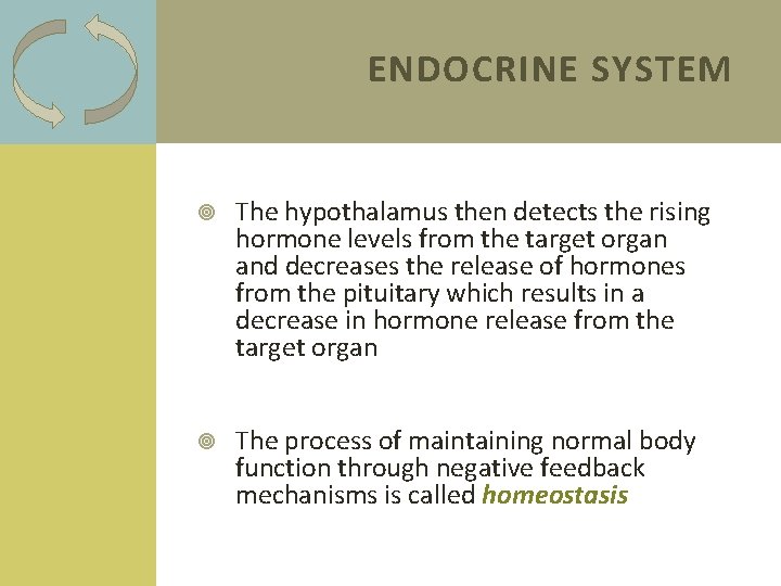 ENDOCRINE SYSTEM The hypothalamus then detects the rising hormone levels from the target organ