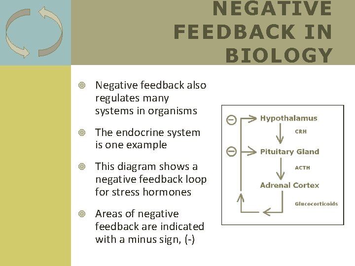 NEGATIVE FEEDBACK IN BIOLOGY Negative feedback also regulates many systems in organisms The endocrine