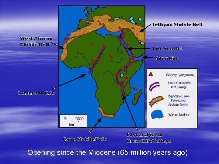 Opening since the Miocene (65 million years ago) 