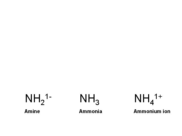 NH 21 - NH 3 NH 41+ Amine Ammonia Ammonium ion 