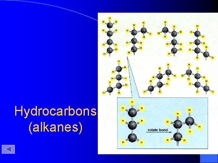 Hydrocarbons (alkanes) 