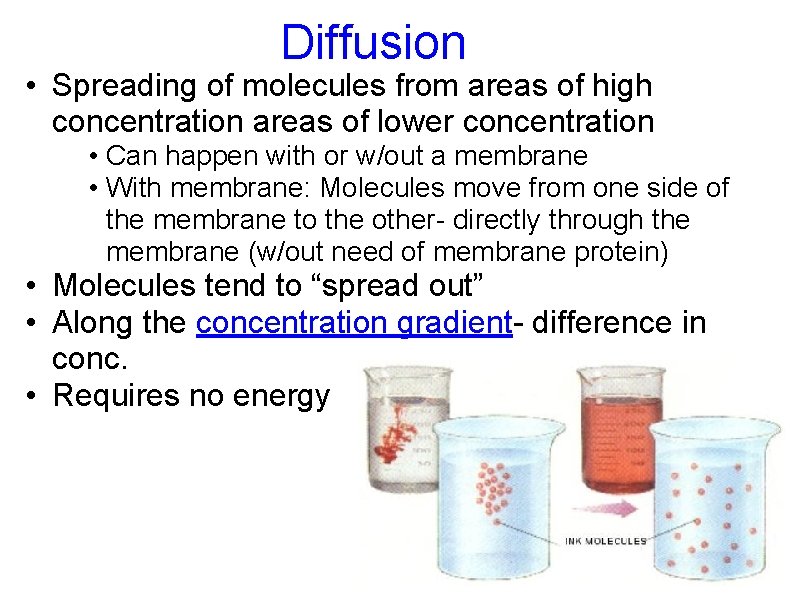 Diffusion • Spreading of molecules from areas of high concentration areas of lower concentration