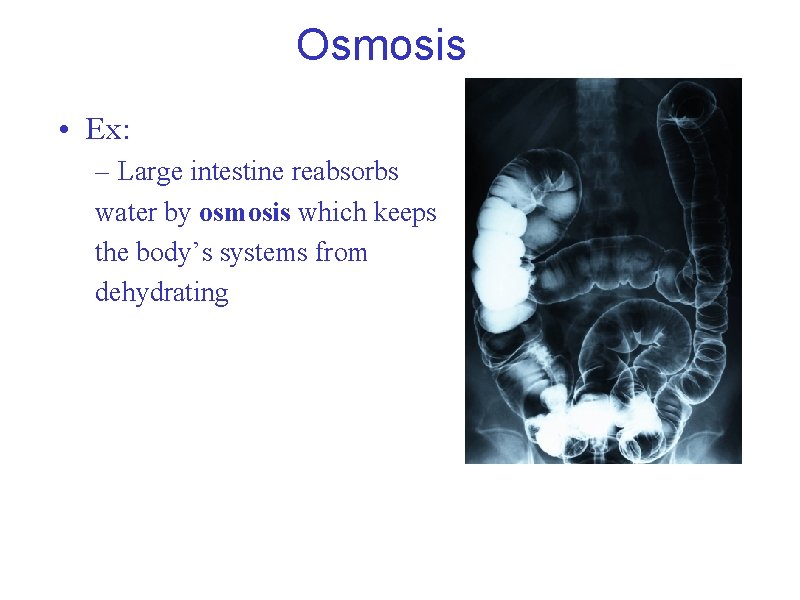  • Ex: Osmosis – Large intestine reabsorbs water by osmosis which keeps the