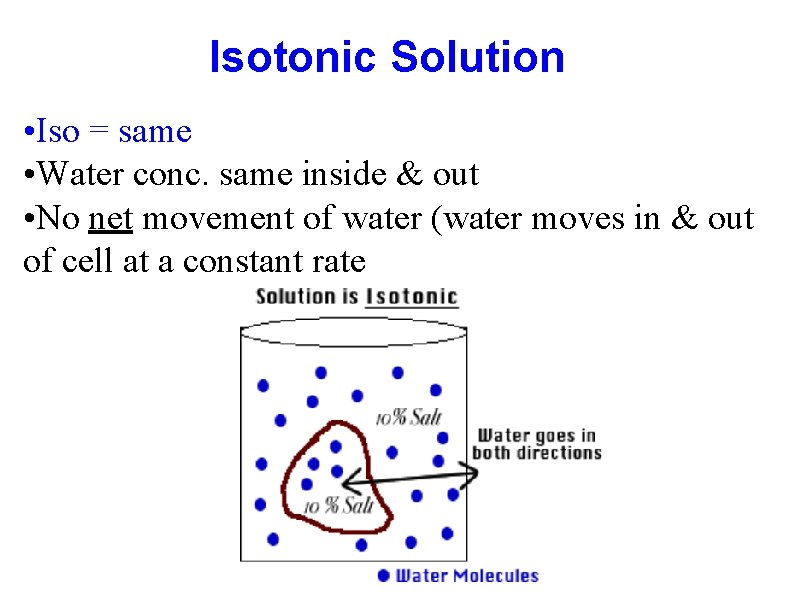 Isotonic Solution • Iso = same • Water conc. same inside & out •