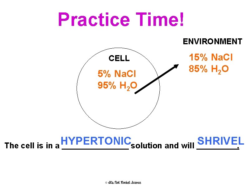 Practice Time! ENVIRONMENT CELL 5% Na. Cl 95% H 2 O 15% Na. Cl