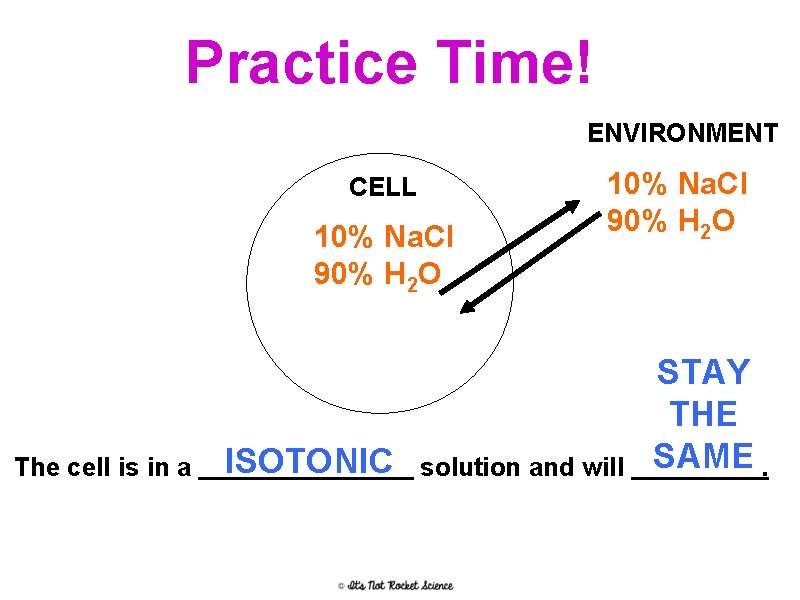 Practice Time! ENVIRONMENT CELL 10% Na. Cl 90% H 2 O The cell is