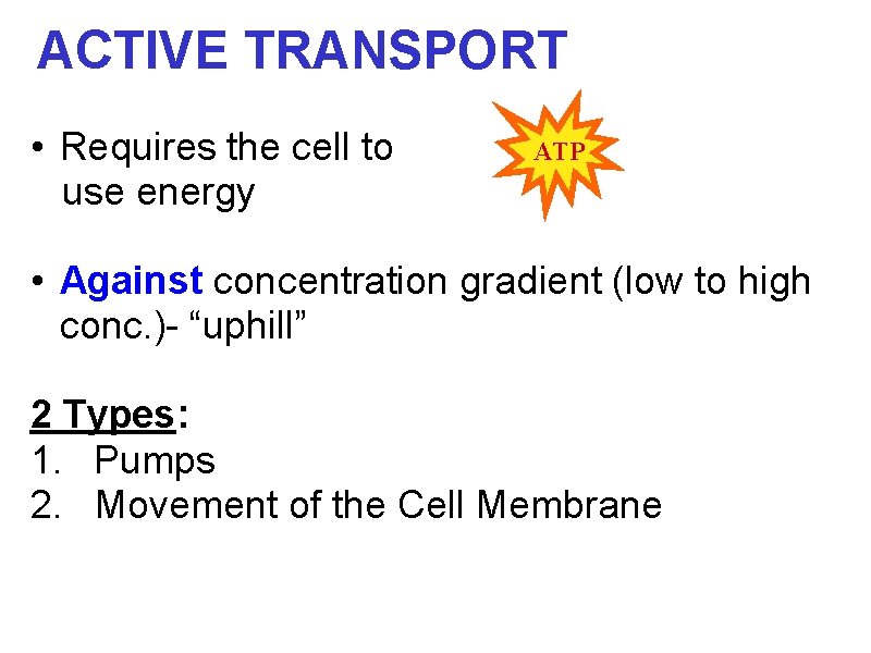ACTIVE TRANSPORT • Requires the cell to use energy ATP • Against concentration gradient