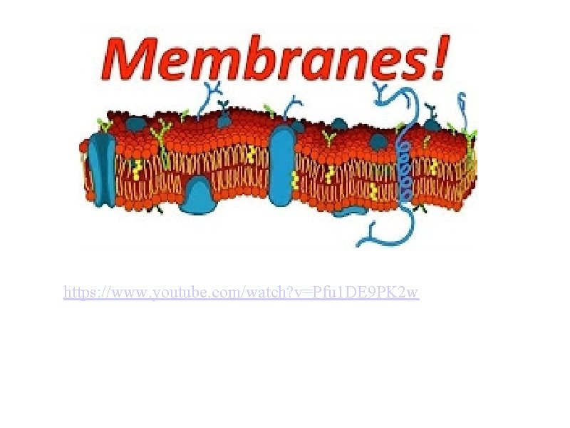 https: //www. youtube. com/watch? v=Pfu 1 DE 9 PK 2 w 