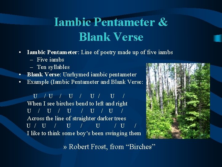 Iambic Pentameter & Blank Verse • Iambic Pentameter: Line of poetry made up of