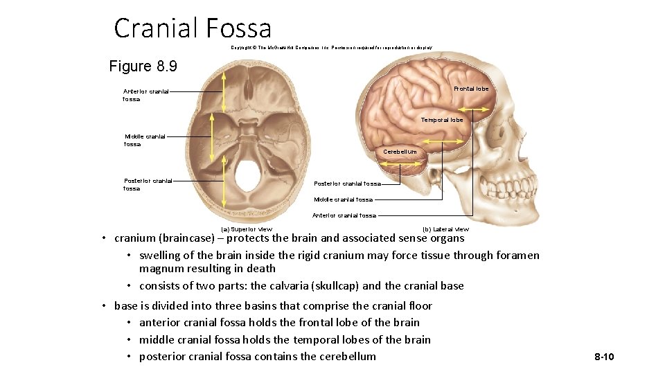 Cranial Fossa Copyright © The Mc. Graw-Hill Companies, Inc. Permission required for reproduction or